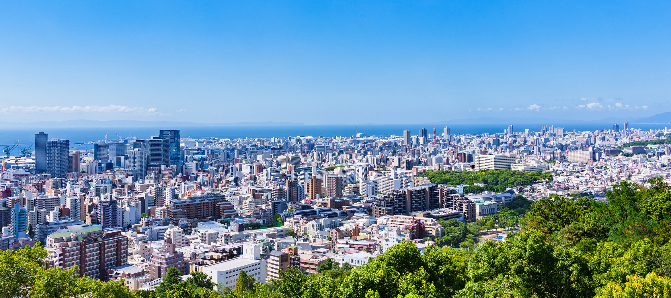 わたしたちについて