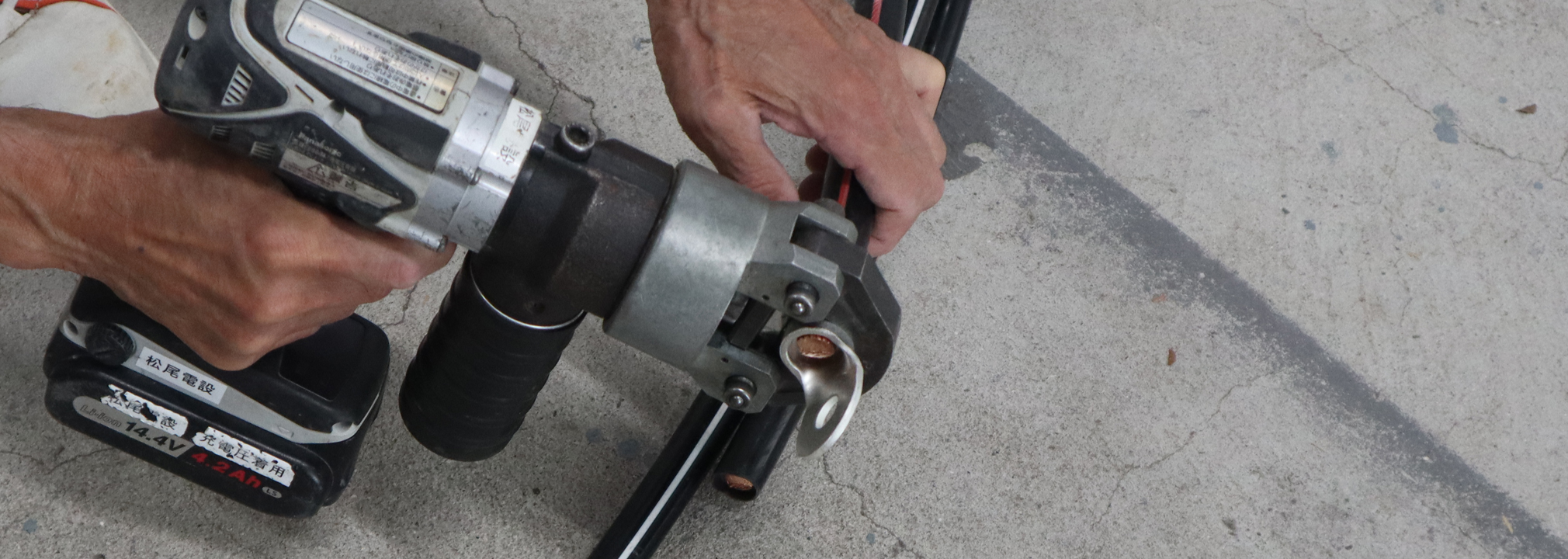 小さくてもキラリと輝きを放つ<br />
唯一無二の存在であり続けたい